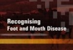 Recognising-FMD