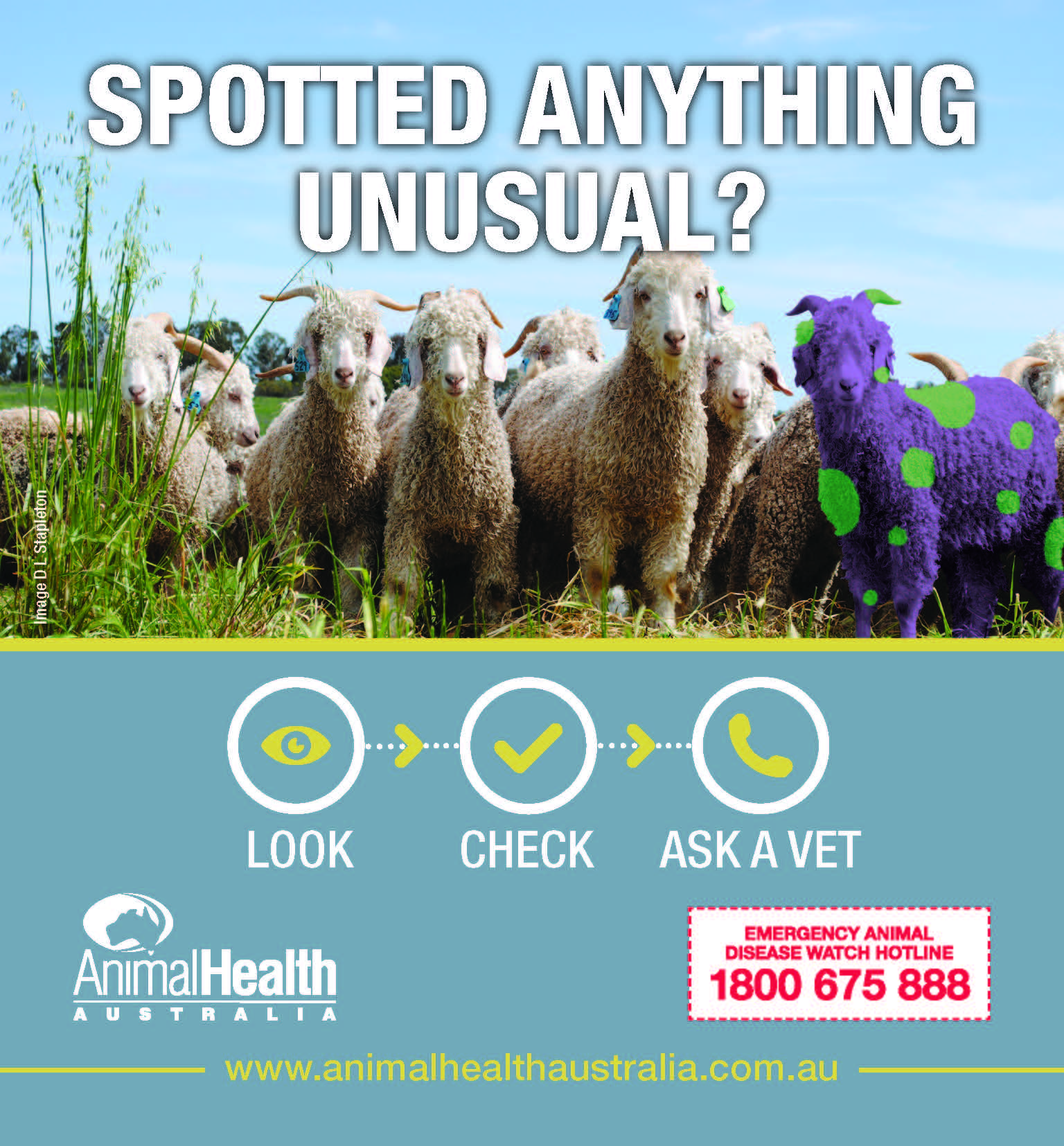 have you spotted anything unusual animal health australia animal emergency hotline